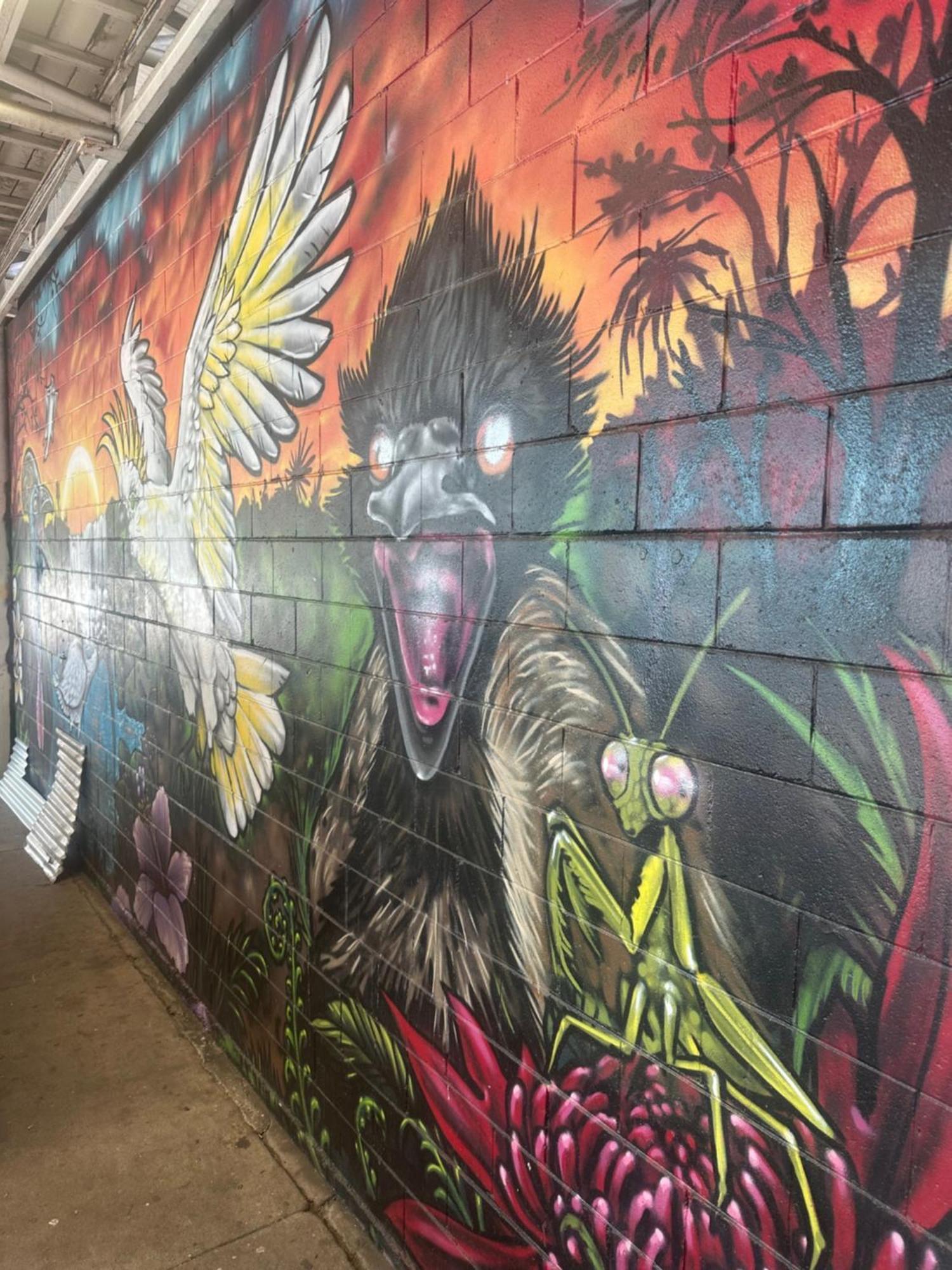 Habitat Backpackers Vandrarhem Brisbane Exteriör bild