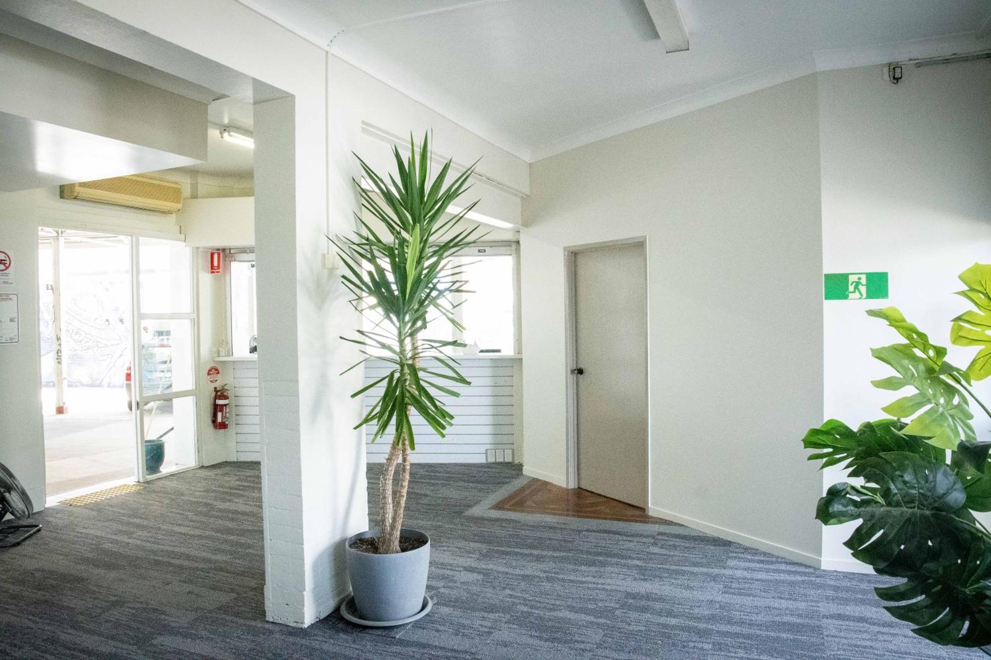 Habitat Backpackers Vandrarhem Brisbane Exteriör bild